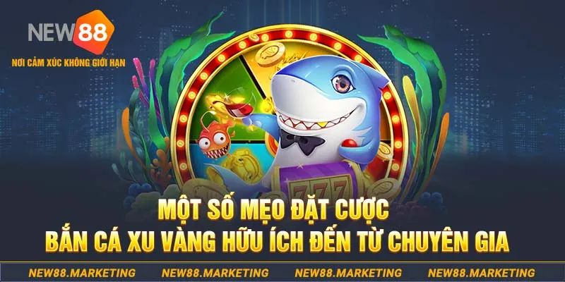 Bắn Cá Xu Vàng 777 - Giải Trí Cực Đã, Kiếm Tiền Cực phê 7 Một số mẹo đặt cược bắn cá Xu Vàng hữu ích đến từ chuyên gia