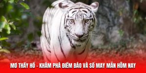 Mơ Thấy Hổ - Khám Phá Điềm Báo Và Số May Mắn Hôm Nay